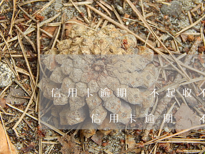 信用卡逾期還不起收不回來(lái)怎么辦-信用卡逾期還不起收不回來(lái)怎么辦呢