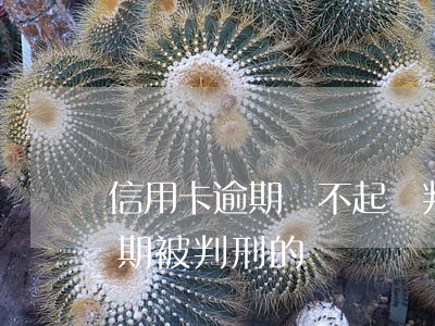 信用卡逾期還不起會判刑嗎(有沒有信用卡逾期被判刑的)