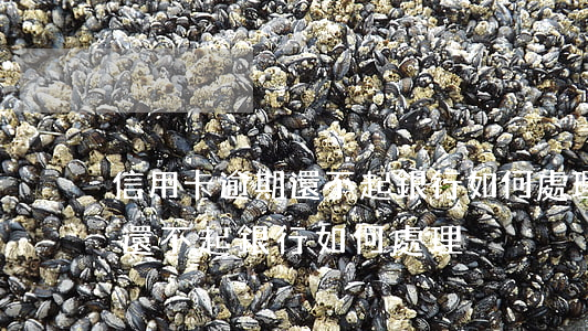 信用卡逾期還不起銀行如何處理(信用卡逾期還不起銀行如何處理)