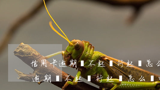 信用卡逾期還不起銀行起訴怎么辦-信用卡逾期還不起銀行起訴怎么辦呢