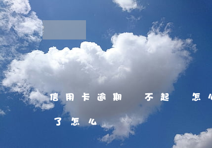 信用卡逾期還不起錢怎么辦(信用卡逾期還不了怎么辦)