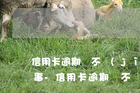 信用卡逾期還不進(jìn)去退款怎么回事-信用卡逾期還不進(jìn)去退款怎么回事兒