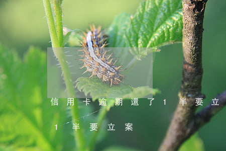 信用卡逾期還了1半要立案(信用卡逾期還了1半要立案)