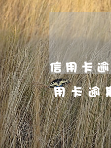 信用卡逾期還了一些錢(qián)不夠 信用卡逾期還了一些錢(qián)不夠用