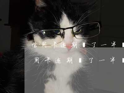 信用卡逾期還了一半銀行還是堅持起訴-信用卡逾期還了一半銀行還是堅持起訴怎么辦