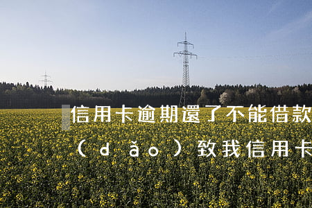 信用卡逾期還了不能借款了(別人借錢不還導(dǎo)致我信用卡逾期)