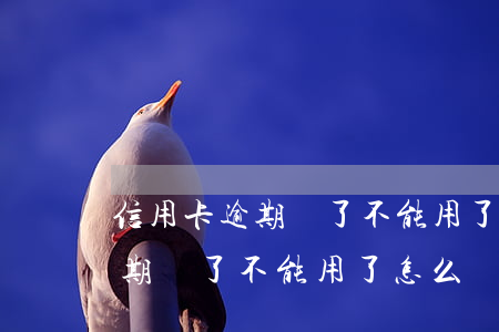 信用卡逾期還了不能用了怎么辦-信用卡逾期還了不能用了怎么辦呢