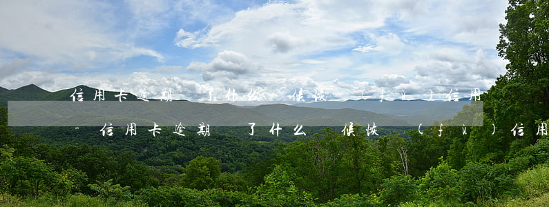 信用卡逾期還了什么時候恢復(fù)信用-信用卡逾期還了什么時候恢復(fù)信用額度