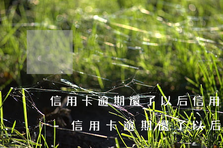 信用卡逾期還了以后信用能恢復(fù)嗎-信用卡逾期還了以后信用能恢復(fù)嗎知乎