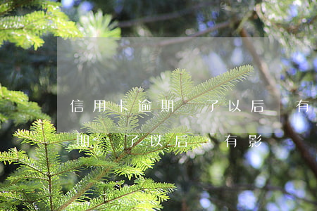 信用卡逾期還了以后會有影響嗎-信用卡逾期還了以后會有影響嗎知乎