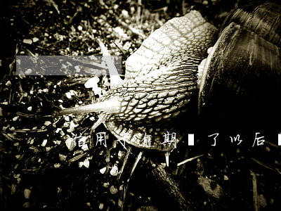 信用卡逾期還了以后還有額度嗎