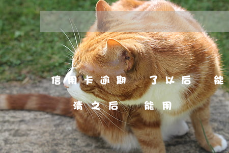 信用卡逾期還了以后還能用嗎(逾期的信用卡還清之后還能用嗎)