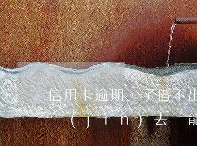 信用卡逾期還了借不出來了(信用卡逾期了還進(jìn)去還能借嗎)