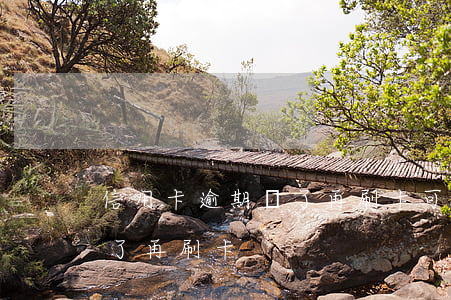 信用卡逾期還了再刷卡可以嗎（信用卡逾期還了再刷卡）