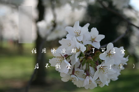 信用卡逾期還了可以坐飛機(jī)嗎(逾期后不能坐飛機(jī)嗎)