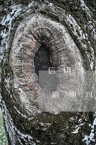 信用卡逾期還了可以房貸嗎(買房子信用卡有逾期可以貸款嗎)