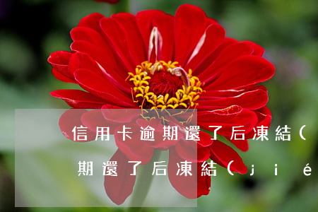 信用卡逾期還了后凍結(jié)(信用卡逾期還了后凍結(jié)賬戶)