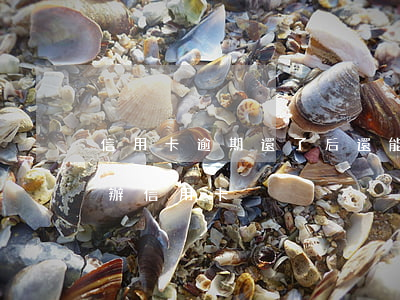 信用卡逾期還了后還能辦卡嗎(逾期了還可以辦信用卡)