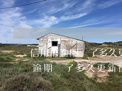 信用卡逾期還了多久更新征信信息-信用卡逾期還了多久更新征信信息啊