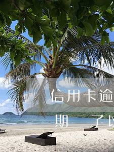信用卡逾期還了多久能恢復(fù)征信(逾期還了以后多久恢復(fù)征信)
