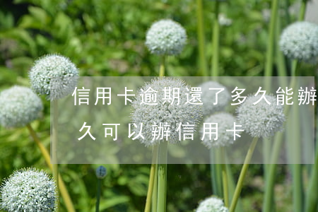 信用卡逾期還了多久能辦卡(逾期貸款還完多久可以辦信用卡)