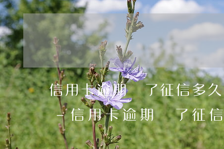 信用卡逾期還了征信多久可以恢復(fù)-信用卡逾期還了征信多久恢復(fù)正常