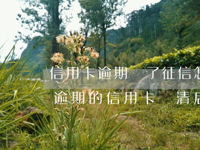 信用卡逾期還了征信怎么恢復(fù)記錄(逾期的信用卡還清后會自動注銷嗎)