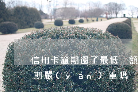 信用卡逾期還了最低沒額度(低額度信用卡逾期嚴(yán)重嗎)
