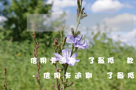 信用卡逾期還了最低還款為什么還顯示逾期-信用卡逾期還了最低還款為什么還顯示逾期了
