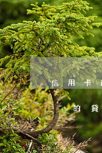 信用卡逾期還了會(huì)影響貸款嗎-別的貸款逾期會(huì)不會(huì)影響信用卡