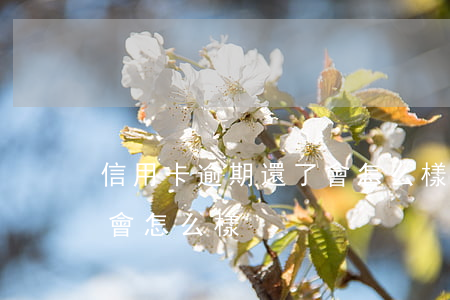 信用卡逾期還了會怎么樣(信用卡逾期了不還會怎么樣)