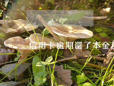 信用卡逾期還了本金還不了利息
