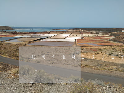 信用卡逾期還了注銷卡了(信用卡逾期能注銷嗎)