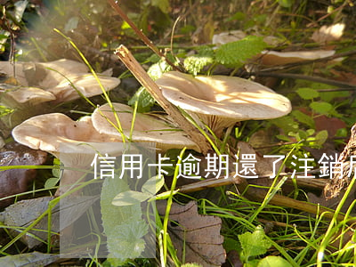 信用卡逾期還了注銷后再申請