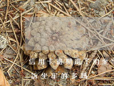 信用卡逾期還了用坐牢么(因信用卡逾期被起訴坐牢的多嗎)