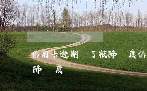 信用卡逾期還了被降額度(信用卡逾期還了被降額度)