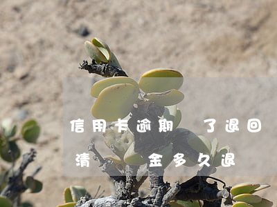 信用卡逾期還了退回來了(信用卡逾期全部還清違約金多久退還)