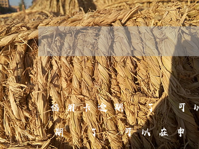 信用卡逾期還了還可以在申請嗎-信用卡逾期還了還可以在申請嗎知乎