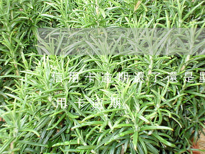 信用卡逾期還了還是顯示逾期(貸款逾期和信用卡逾期)