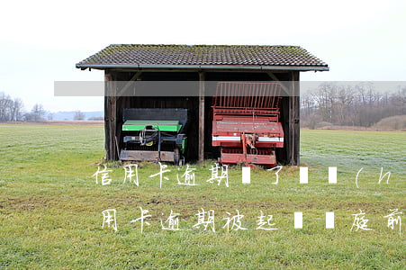 信用卡逾期還了還會(huì)被起訴嗎(信用卡逾期被起訴開庭前還了,還會(huì)怎么樣)