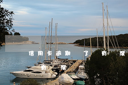 信用卡逾期還了還有額度嗎(信用卡逾期還了還有額度嗎)