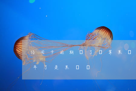 信用卡逾期還了還算黑戶嗎(我信用卡逾期半年了是黑戶嗎)