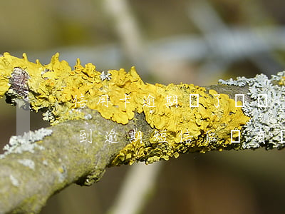 信用卡逾期還了點發(fā)短信(信用卡收到逾期短信后還有補救的方法嗎)