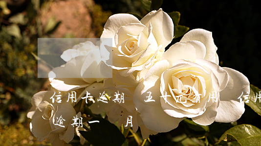 信用卡逾期還五十元有用嗎(信用卡15塊錢逾期一個月)
