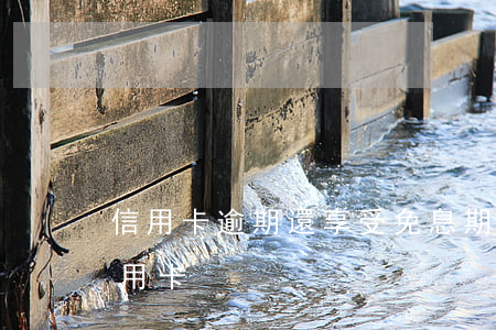 信用卡逾期還享受免息期嗎(超長免息期的信用卡)