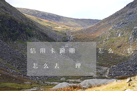 信用卡逾期還債怎么辦(信用卡逾期了還完了怎么去處理)