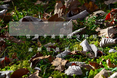 信用卡逾期還全款短信-收到短信說信用卡逾期,但是我已經(jīng)還了最低還款