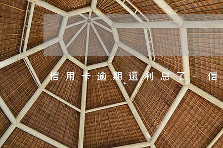 信用卡逾期還利息了-信用卡逾期還利息了