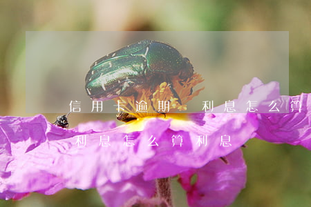 信用卡逾期還利息怎么算利息 信用卡逾期還利息怎么算利息