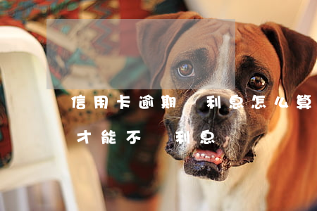 信用卡逾期還利息怎么算(還逾期信用卡怎么才能不還利息)